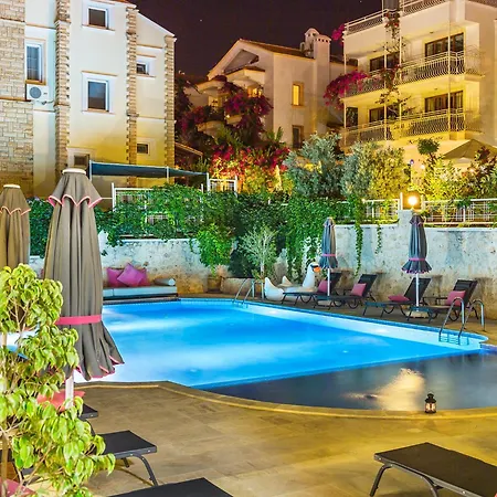 201 Kalkan