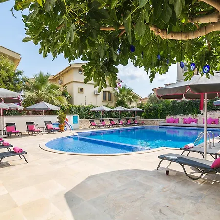 201 * Kalkan